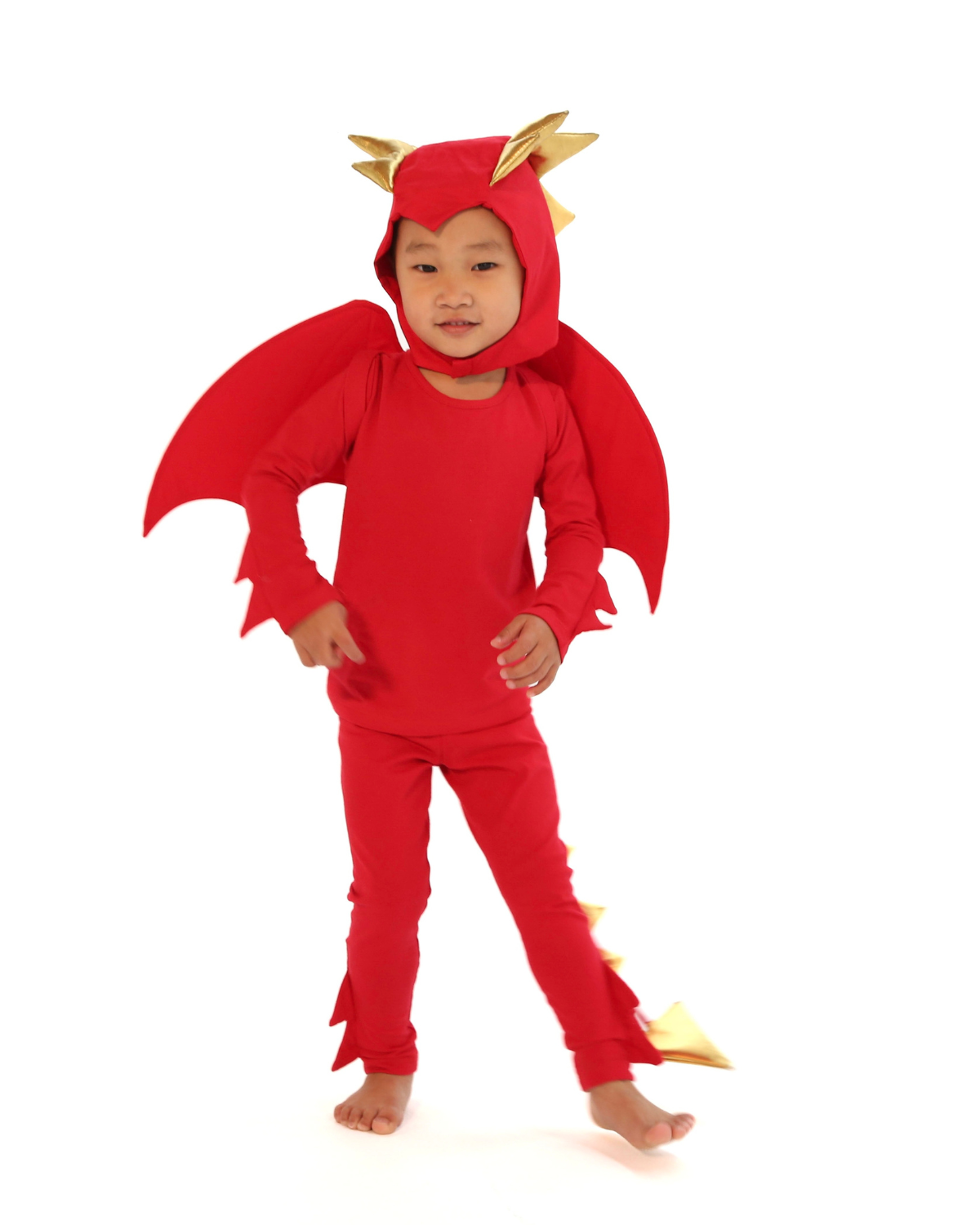 Red Dragon Costume – Band of the Wild