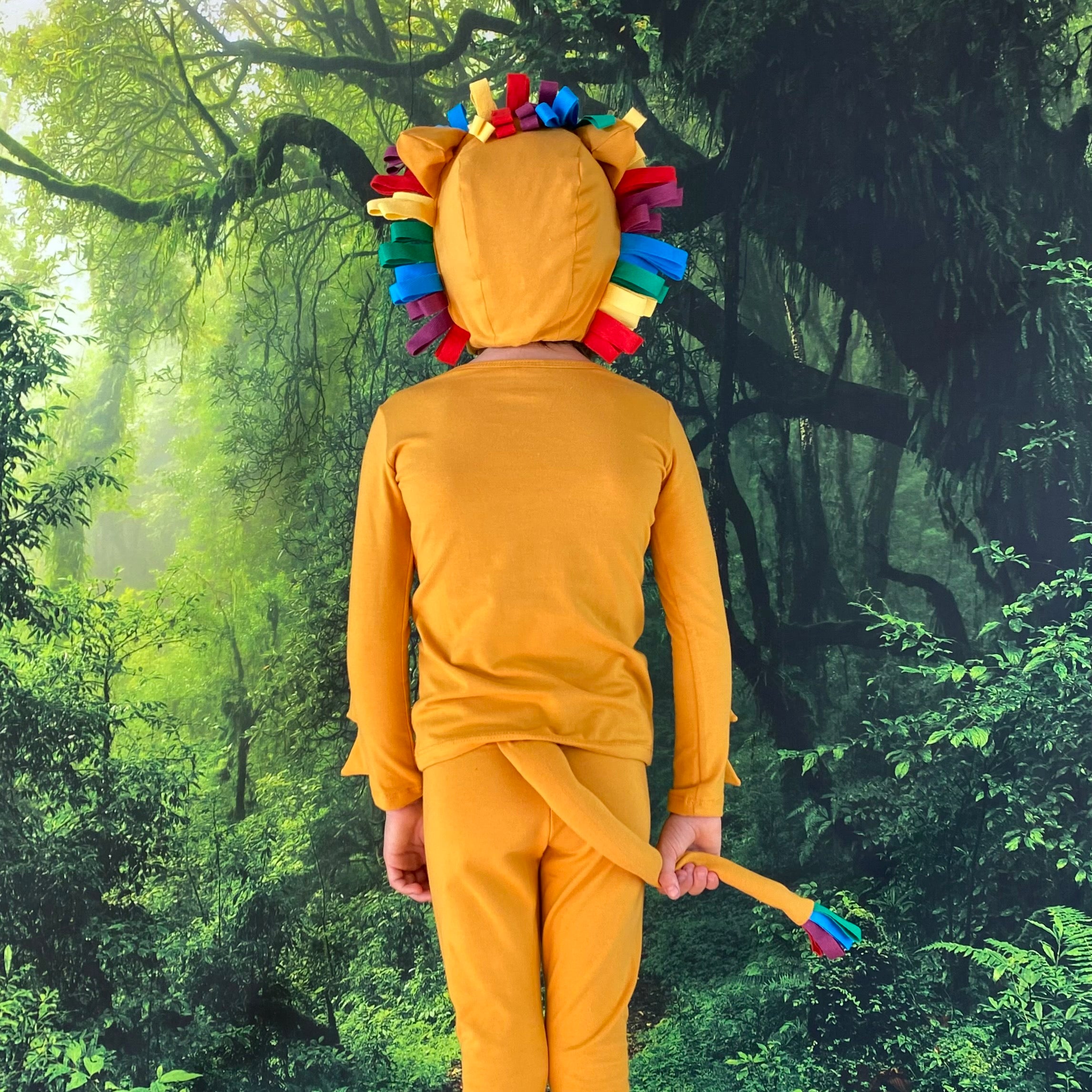 Rainbow king sale costume